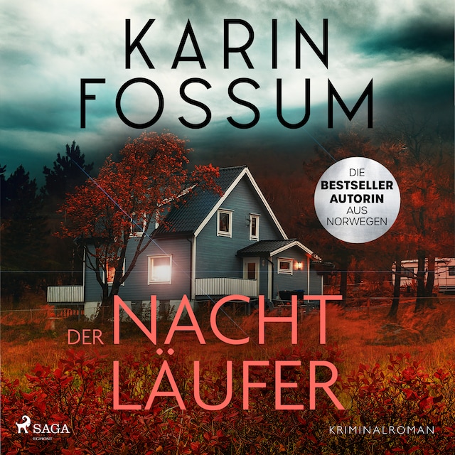 Book cover for Der Nachtläufer