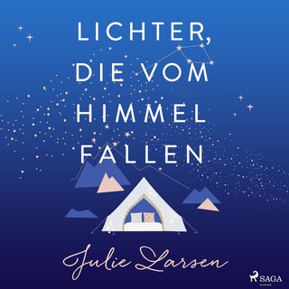 Lichter, die vom Himmel fallen als Hörbuch