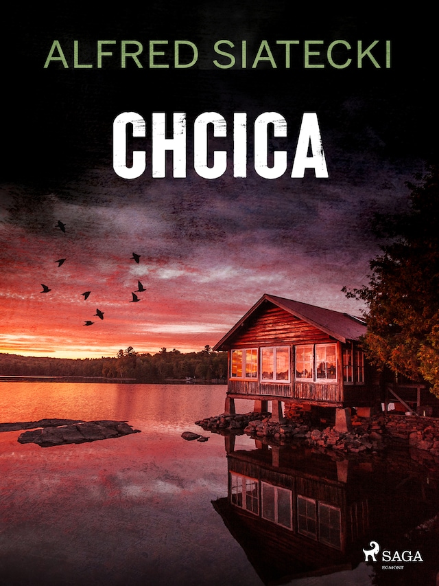 Boekomslag van Chcica