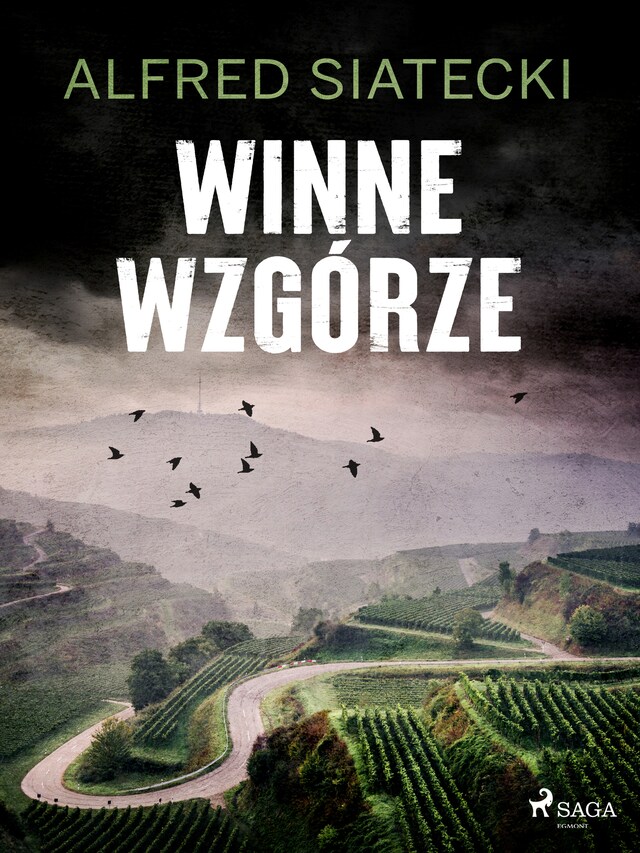 Copertina del libro per Winne Wzgórze