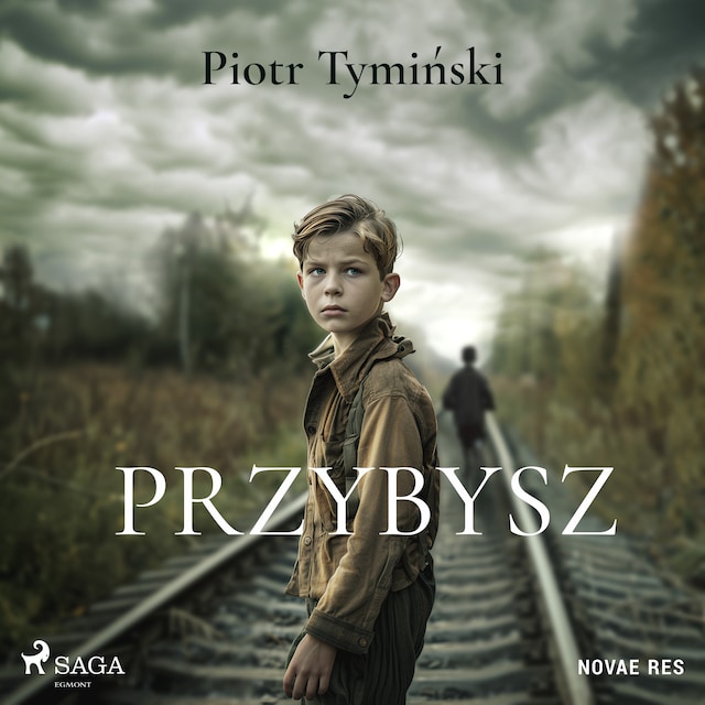 Book cover for Przybysz