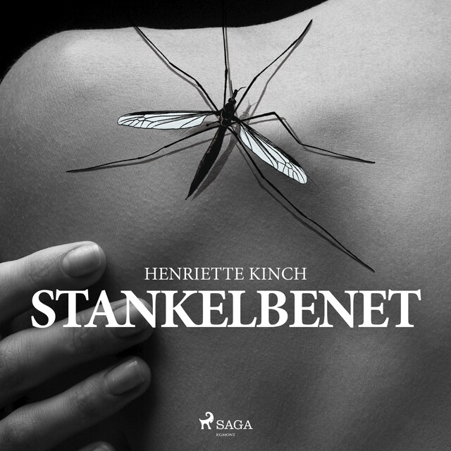 Book cover for Stankelbenet