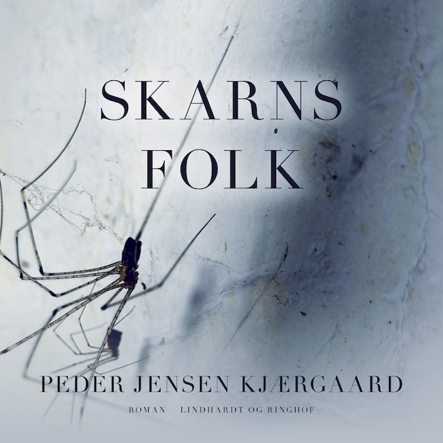 Book cover for Skarnsfolk
