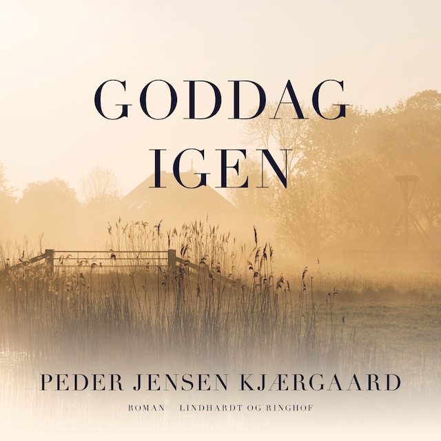 Book cover for Goddag igen