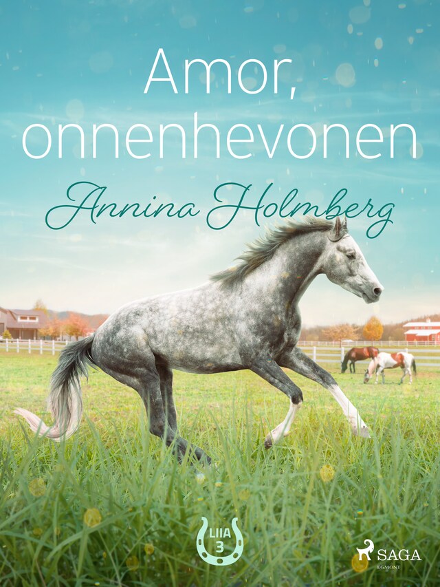 Buchcover für Amor, onnenhevonen