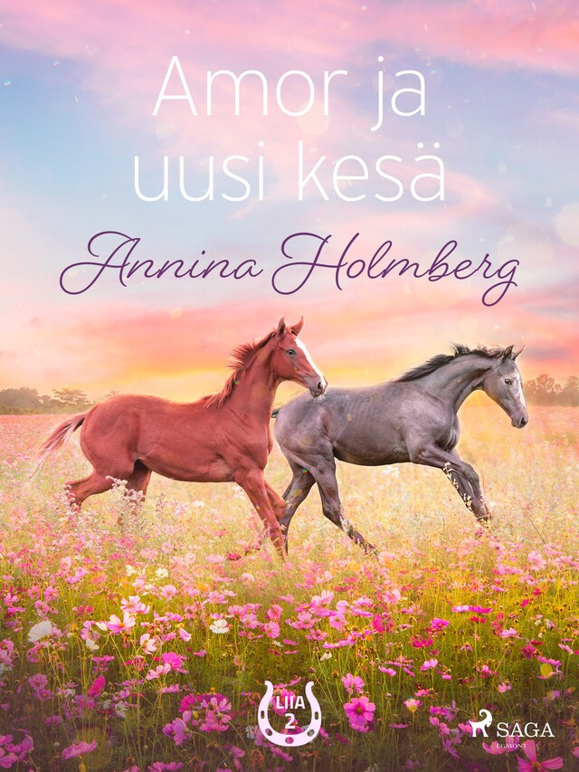 Book cover for Amor ja uusi kesä