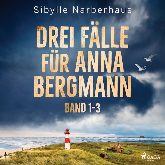 Kirjankansi teokselle Drei Fälle für Anna Bergmann (Band 1-3)
