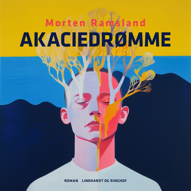 Book cover for Akaciedrømme