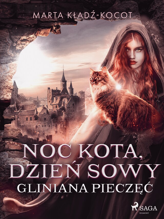 Book cover for Noc kota, dzień sowy: Gliniana Pieczęć