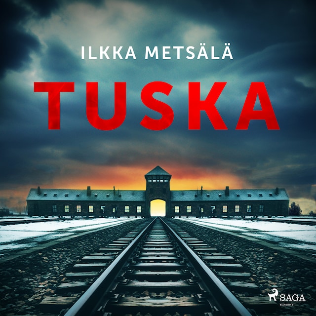 Book cover for Tuska