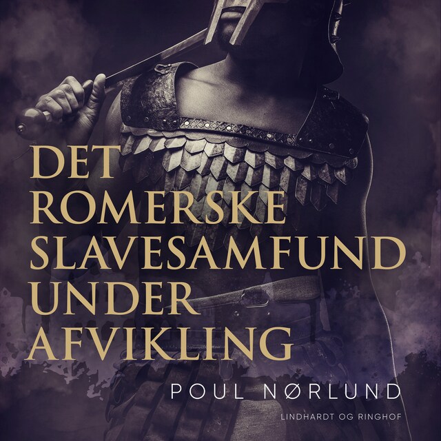 Buchcover für Det romerske slavesamfund under afvikling