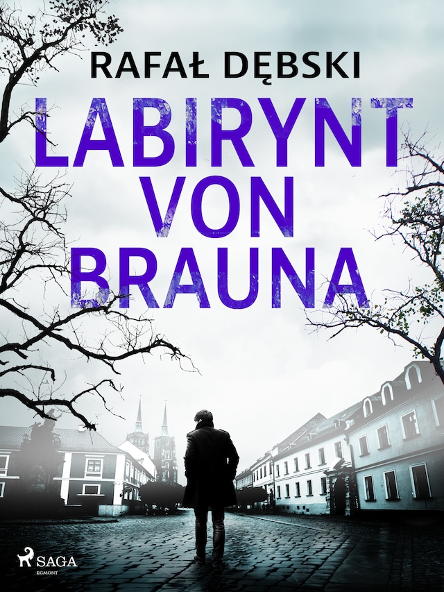 Okładka książki dla Labirynt von Brauna