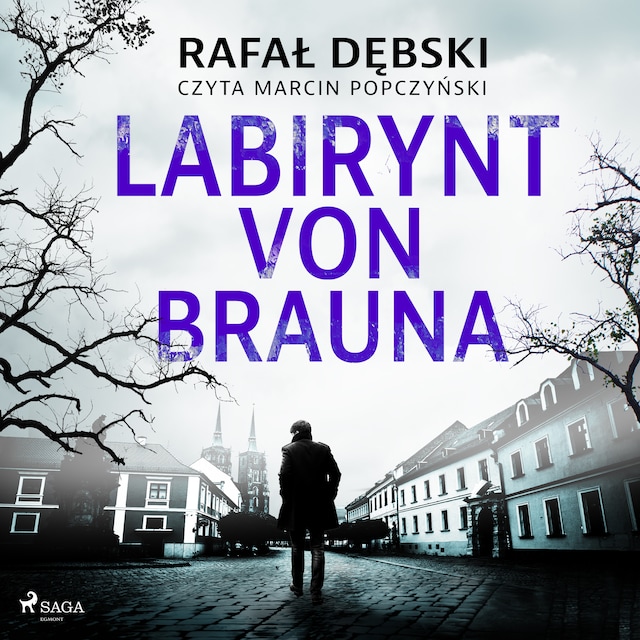 Book cover for Labirynt von Brauna