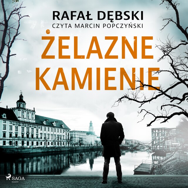 Book cover for Żelazne kamienie