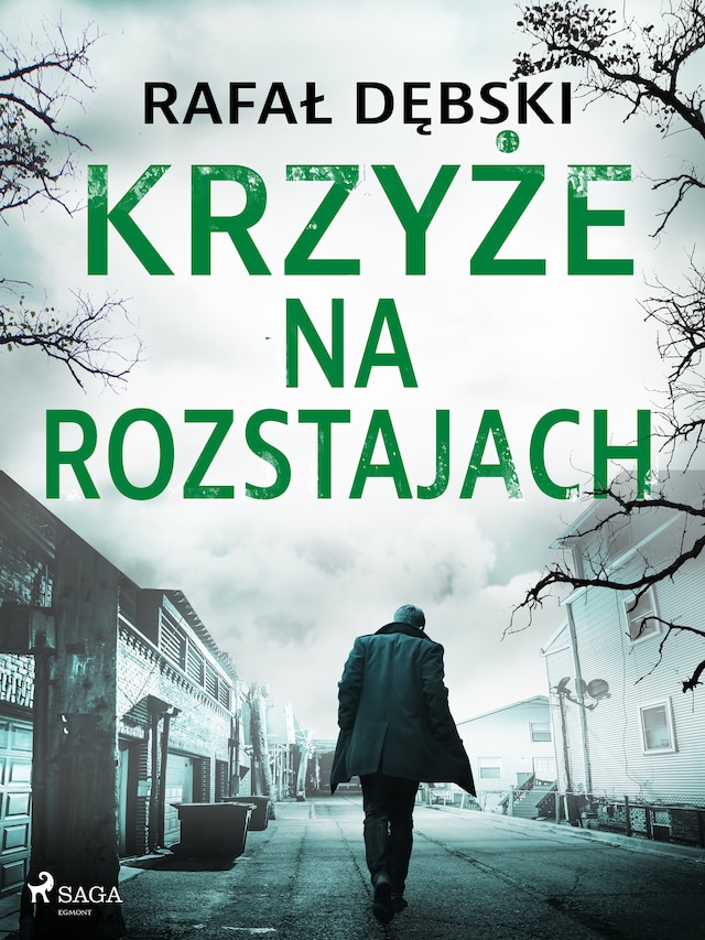 Book cover for Krzyże na rozstajach
