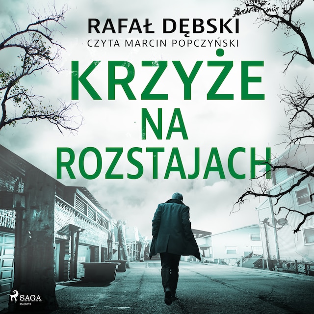 Book cover for Krzyże na rozstajach
