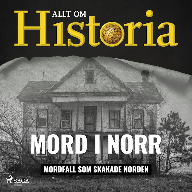 Book cover for Mord i norr - Mordfall som skakade Norden