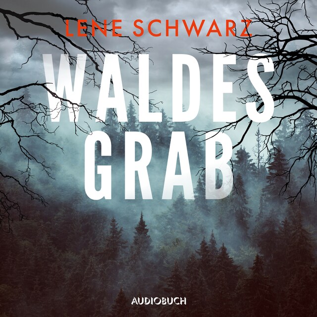Book cover for Waldesgrab