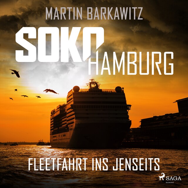 Bokomslag for SoKo Hamburg: Fleetfahrt ins Jenseits (Ein Fall für Heike Stein, Band 3)
