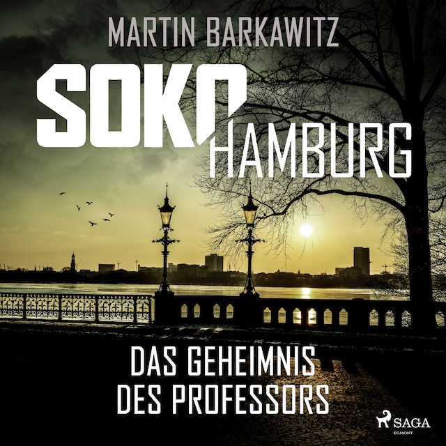 Kirjankansi teokselle SoKo Hamburg: Das Geheimnis des Professors (Ein Fall für Heike Stein, Band 9)