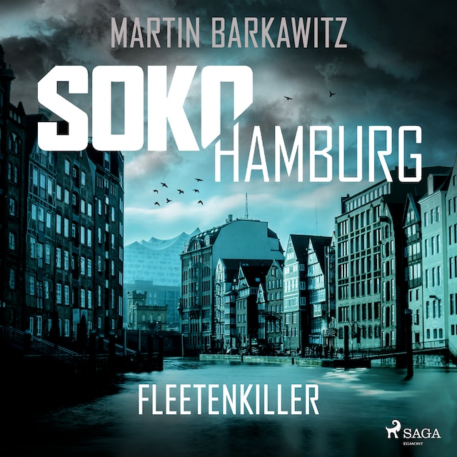 Kirjankansi teokselle SoKo Hamburg: Fleetenkiller (Ein Fall für Heike Stein, Band 13)