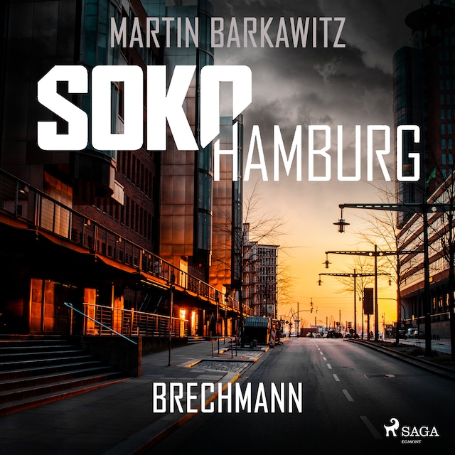 Book cover for SoKo Hamburg: Brechmann (Ein Fall für Heike Stein, Band 17)