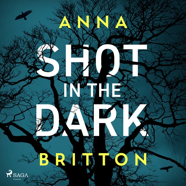 Copertina del libro per Shot in the Dark