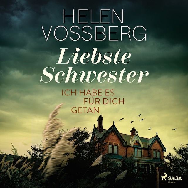 Book cover for Liebste Schwester
