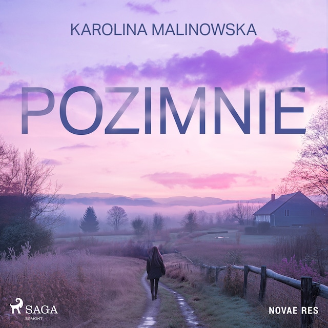 Book cover for Pozimnie