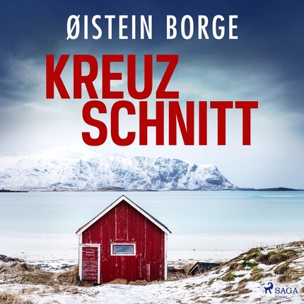 Kreuzschnitt bookCoverFor