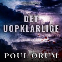 Det uopklarlige