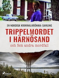 Trippelmordet i Härnösand och fem andra mordfall