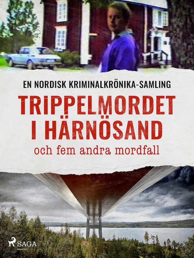 Book cover for Trippelmordet i Härnösand och fem andra mordfall