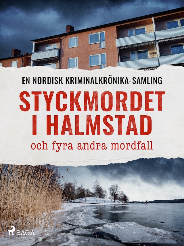 Book cover for Styckmordet i Halmstad och fyra andra mordfall