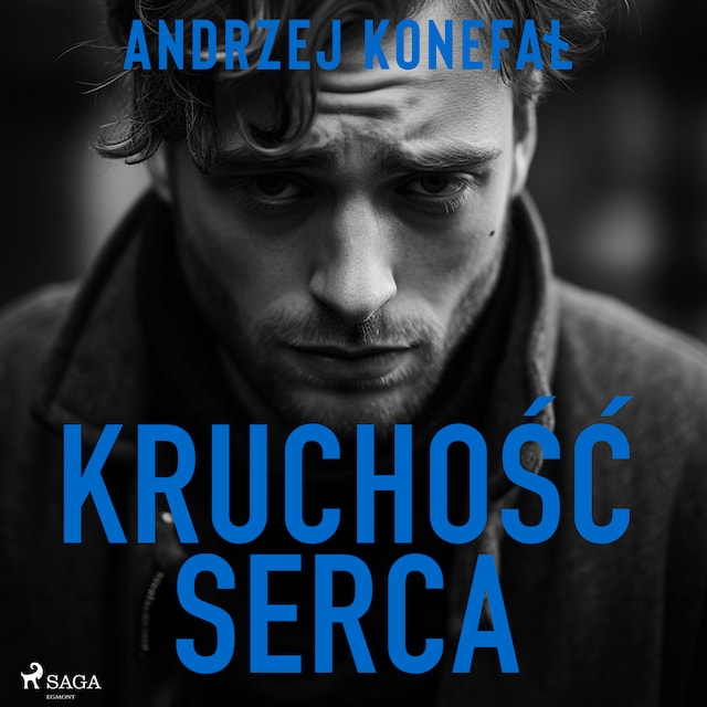 Book cover for Kruchość serca
