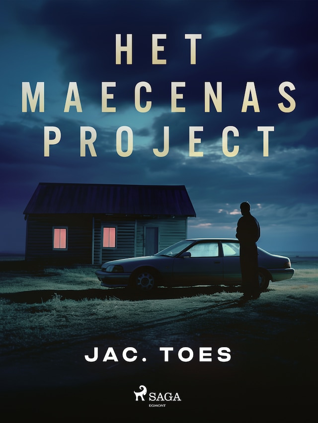 Buchcover für Het Maecenas-project
