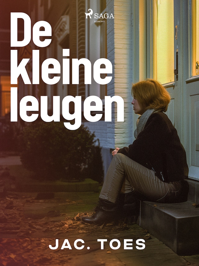 Book cover for De kleine leugen