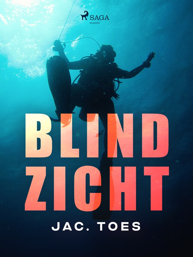 Okładka książki dla Blind zicht