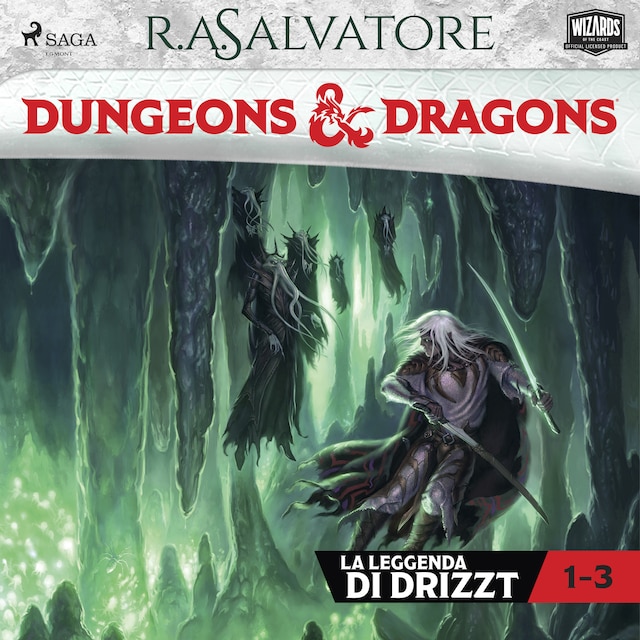Book cover for Dungeons & Dragons: Trilogia degli elfi scuri