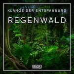 Klänge der Entspannung - Regenwald