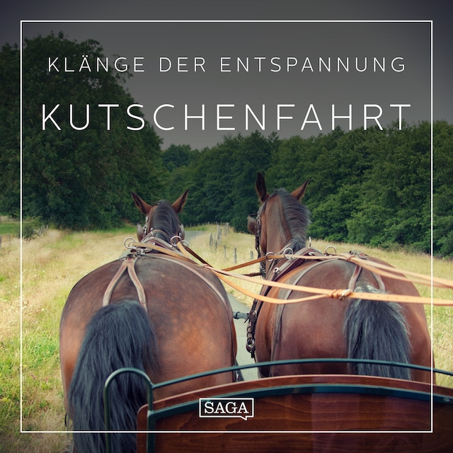 Book cover for Klänge der Entspannung - Kutschenfahrt