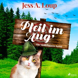 Pfeil im Aug' als Hörbuch