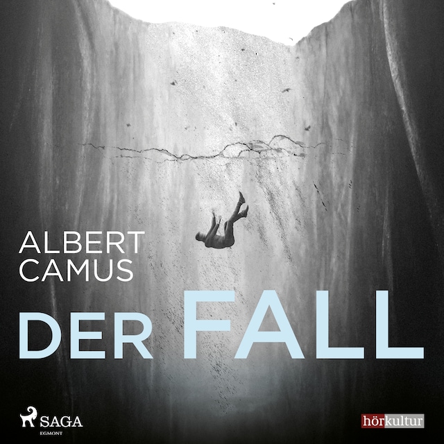 Book cover for Der Fall