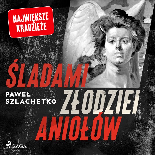 Book cover for Śladami złodziei aniołów