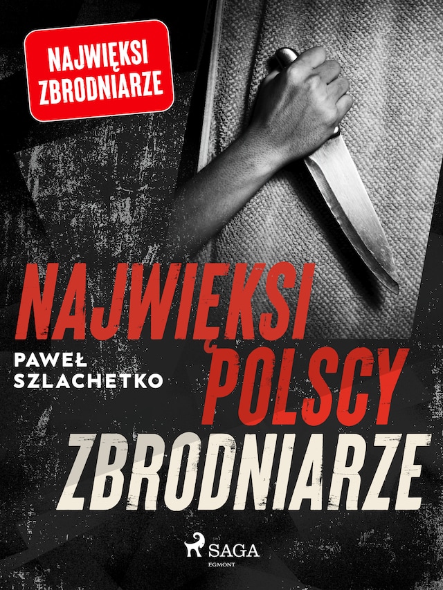 Boekomslag van Najwięksi polscy zbrodniarze