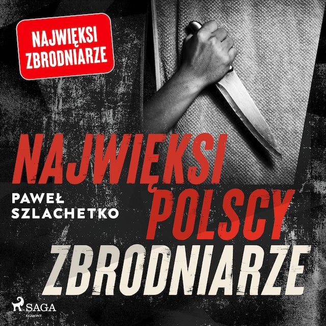 Book cover for Najwięksi polscy zbrodniarze