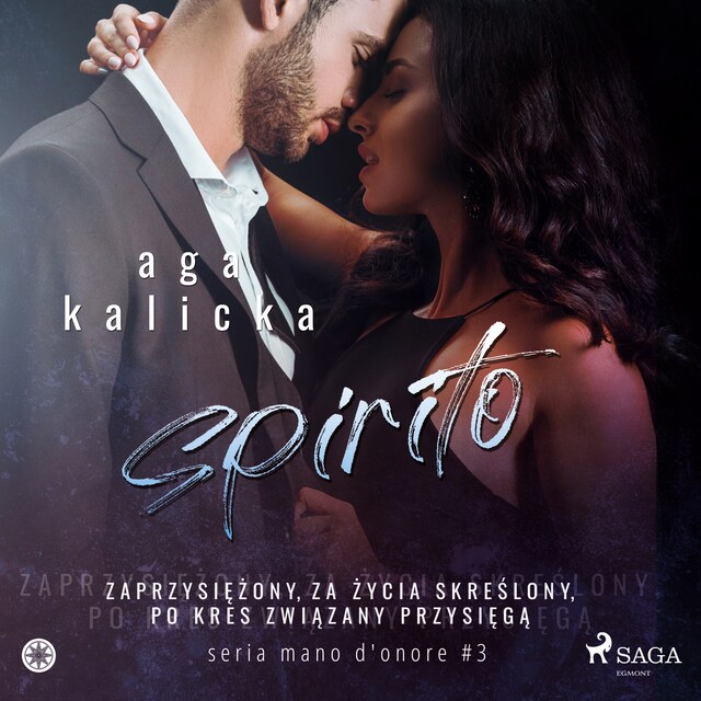 Book cover for Spirito