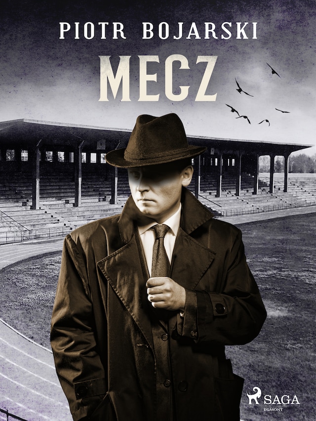 Buchcover für Mecz