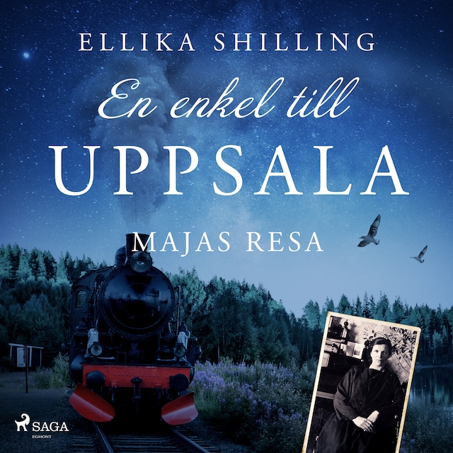 Bokomslag för En enkel till Uppsala