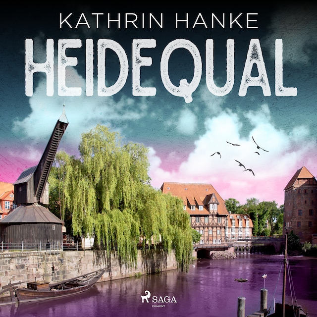 Book cover for Heidequal